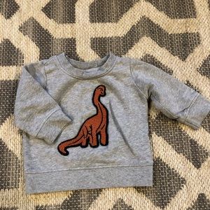 Hanna Anderson Dino sweatshirt